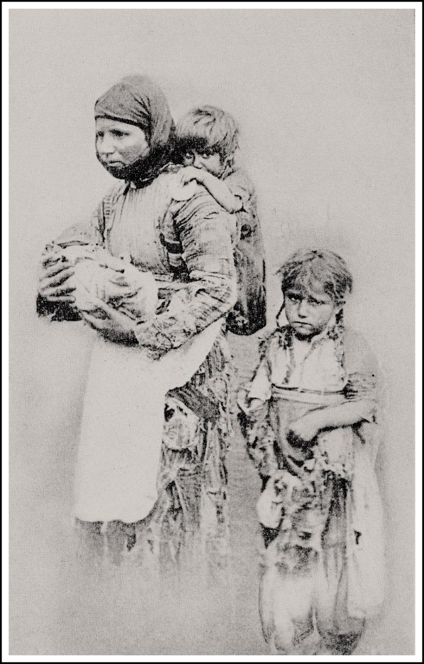 A picture containing text
Description automatically generated