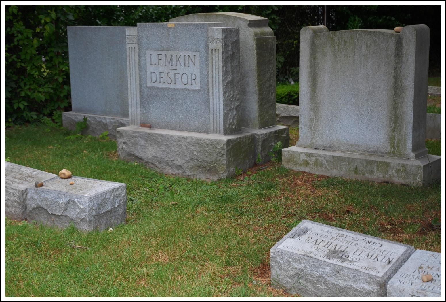 A group of tombstones in a grassy area
Description automatically generated with medium confidence